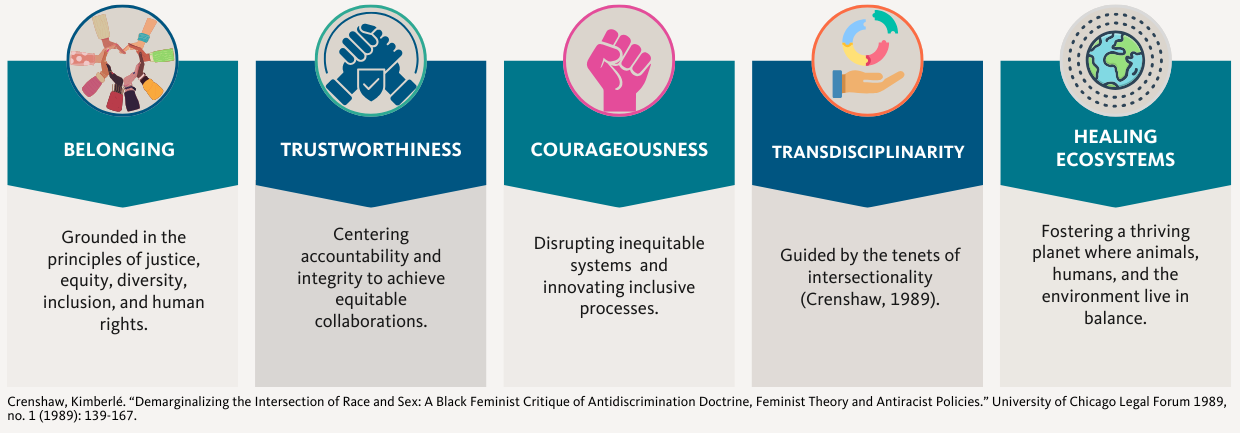 Our Guiding Values: Belonging, Trustworthiness, Courageousness, Transdisciplinarity, and Healing Ecosystems.