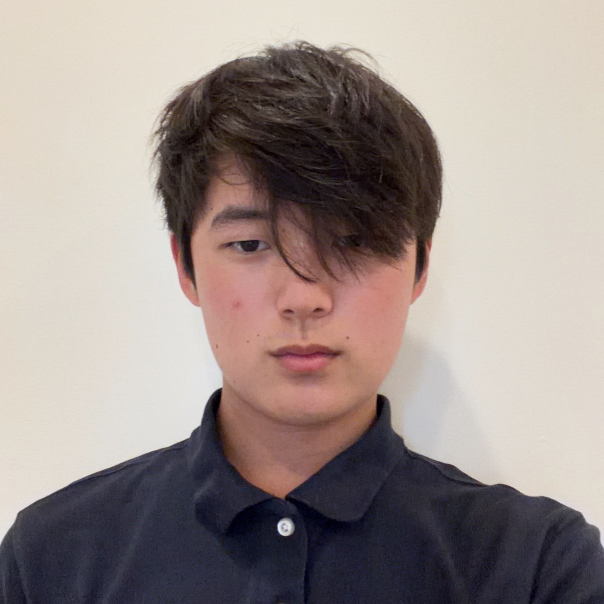 Head-and-shoulders portrait of Christian with dark hair partly covering one eye, wearing a dark polo shirt against a plain light background.