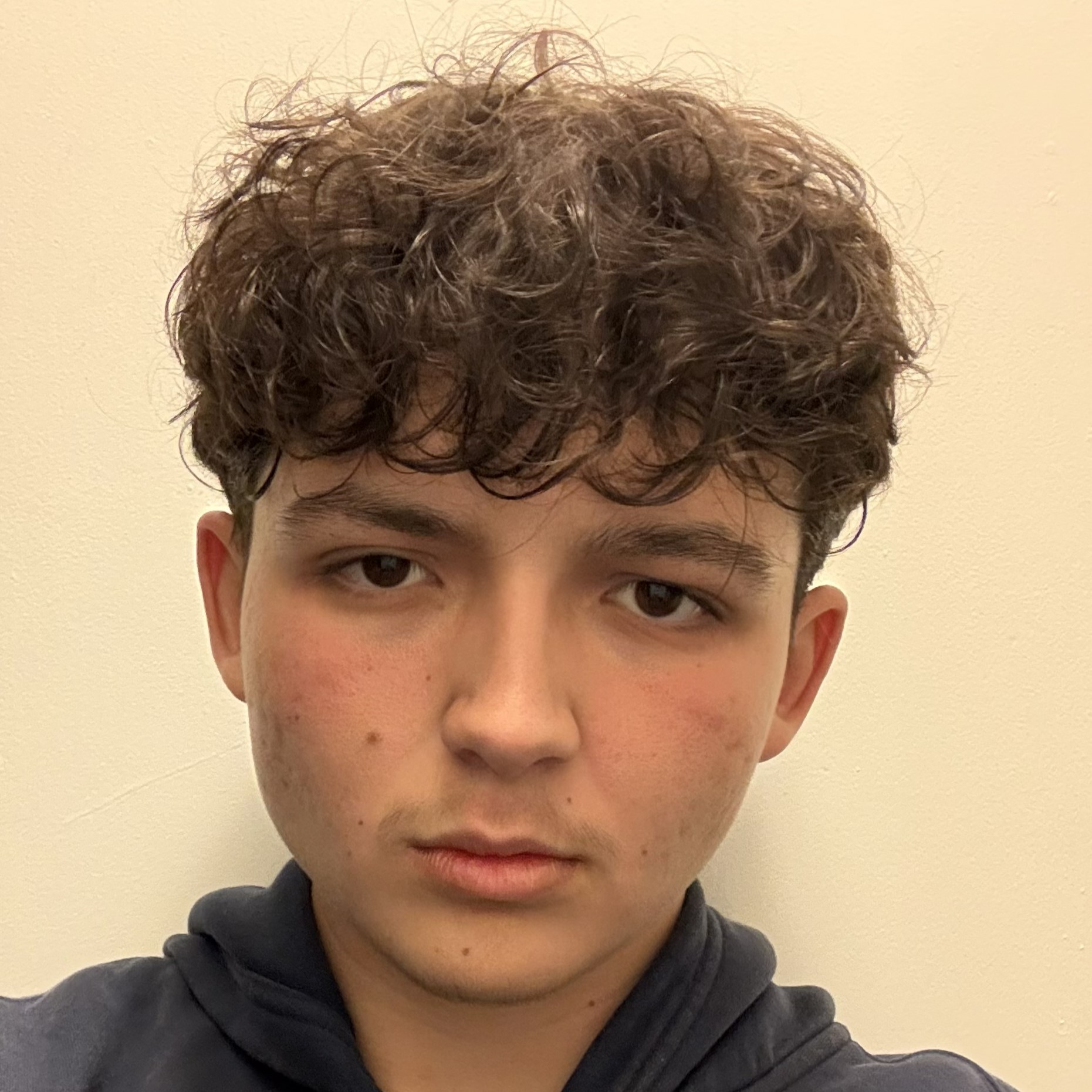 Close-up portrait of Vincent with curly dark hair and a neutral expression, wearing a dark hoodie against a plain light background.