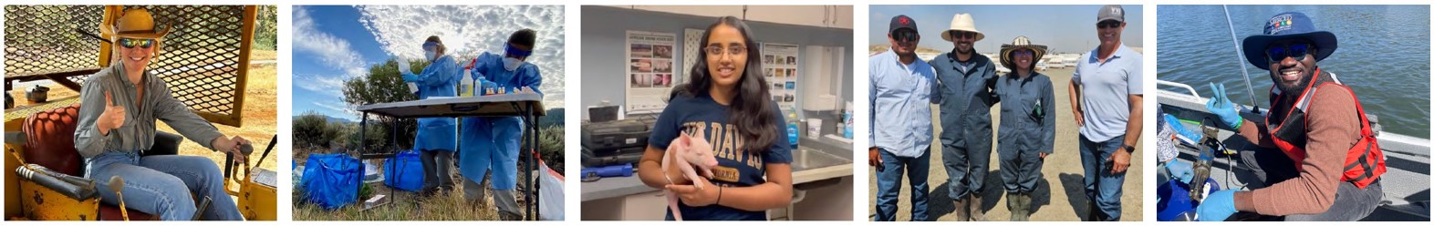 Collage of photos of past Summer Immersion Program students